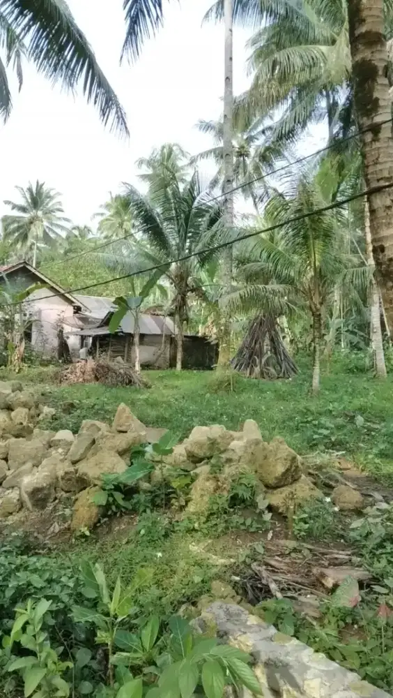 Dijual Tanah SHM 352 m² (+- 25 Bata), Pajaten Pangandaran