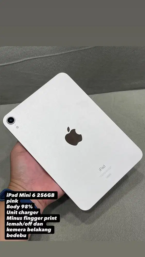 iPad Mini 6 256GB Pink wifi only