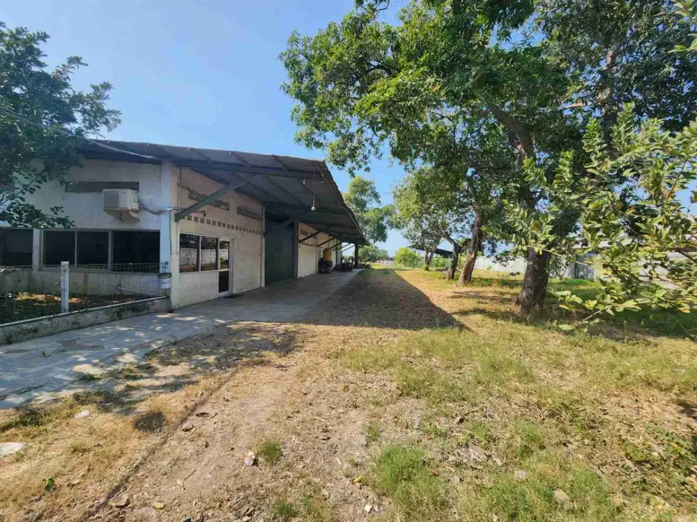 Sewa Gudan dan Lahan area Losari Cirebon