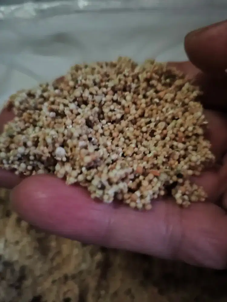 Pasir Bali Butiran Bulat Biji Lada 4kg