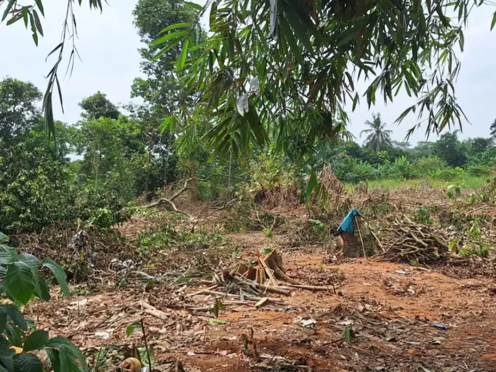 Dekat Stasiun Baru Jatake, Kavling 1 Jutaan Cisauk. Terima SHM Pecah
