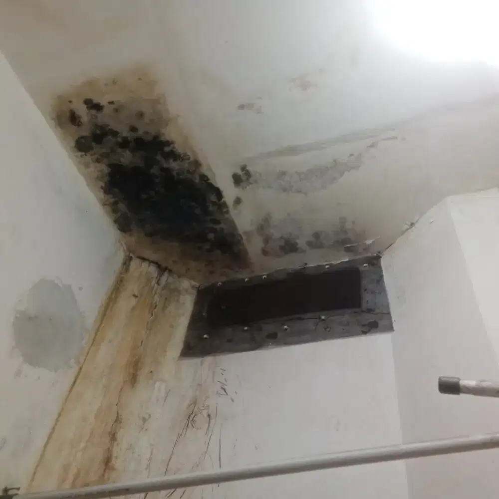 Tukang perbaikan atap bocor, plafon rembes talang air atap baja ringan