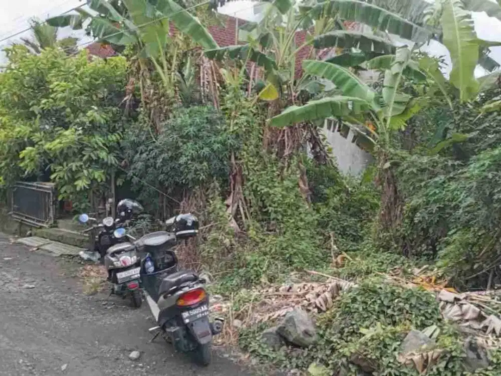 Jual Tanah Luas 150m² Lokasi Jl. Trengguli Denpasar Timur