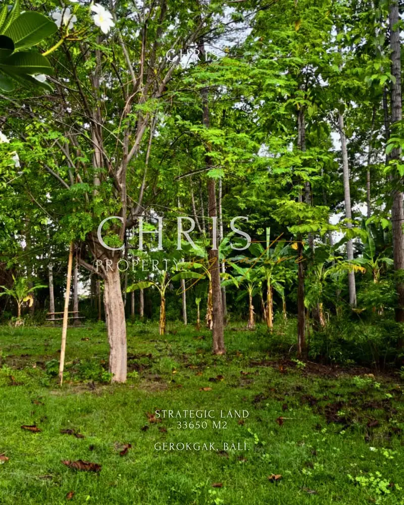Land for Sale Bali Freehold SHM – Penyabangan Gerokgak