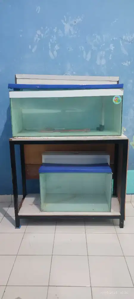 Aquarium dan Rack