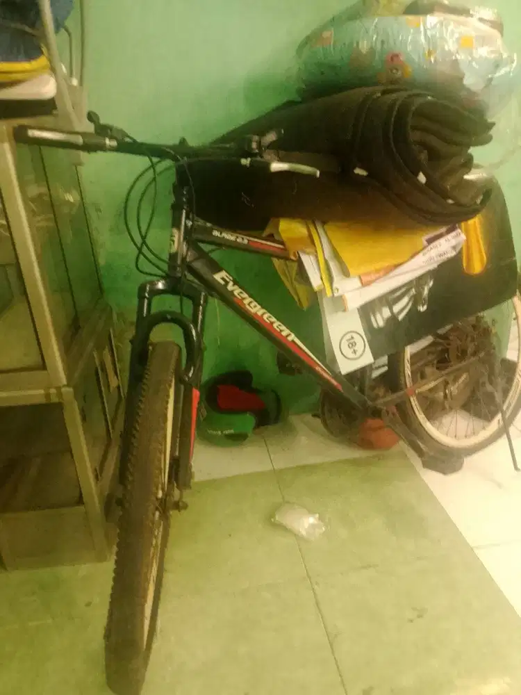 Sepeda bekas apa adanya