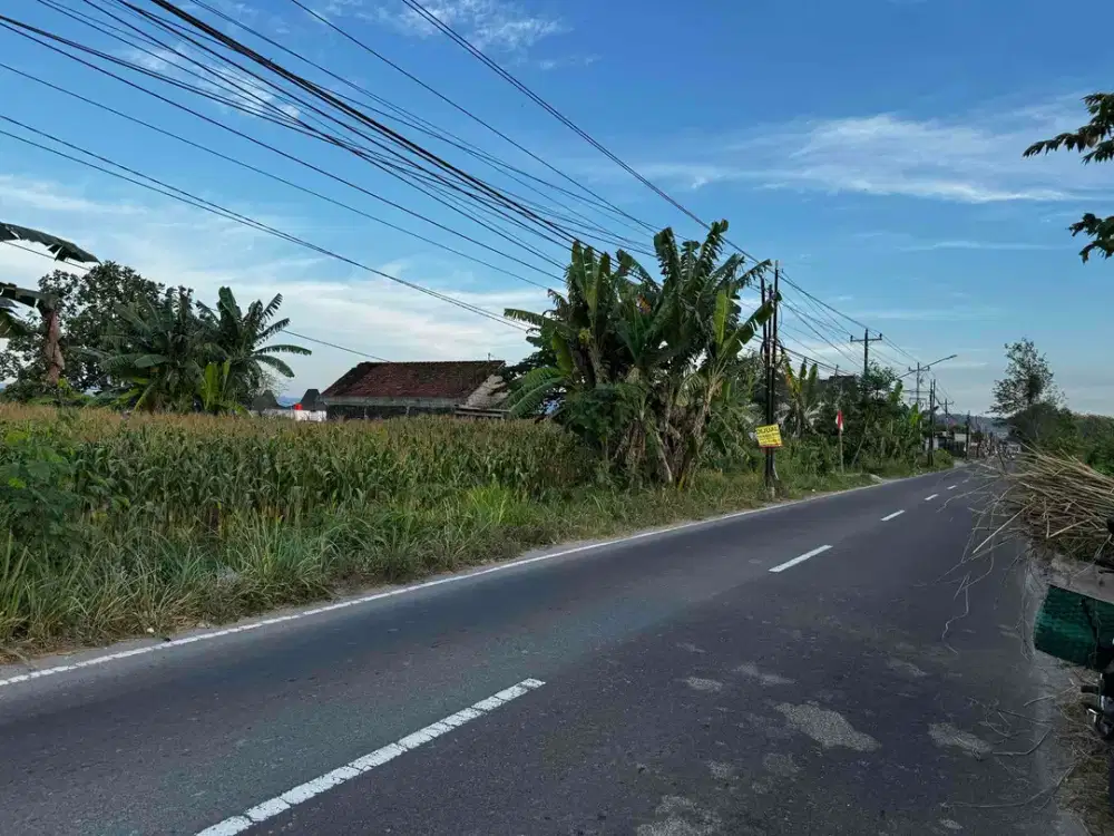 Tanah Pekarangan strategis Area Candi Prambanan Yogyakarta