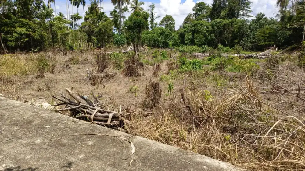 Tanah kosong/kebun