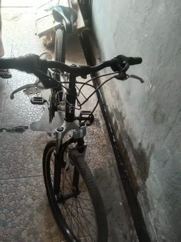 sepeda gunung merek poygn jadul