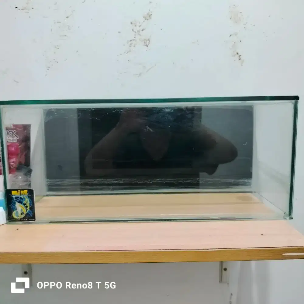 Jual aquarium ikan
