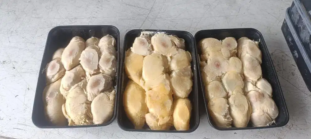 Durian Kupas Sidikalanv