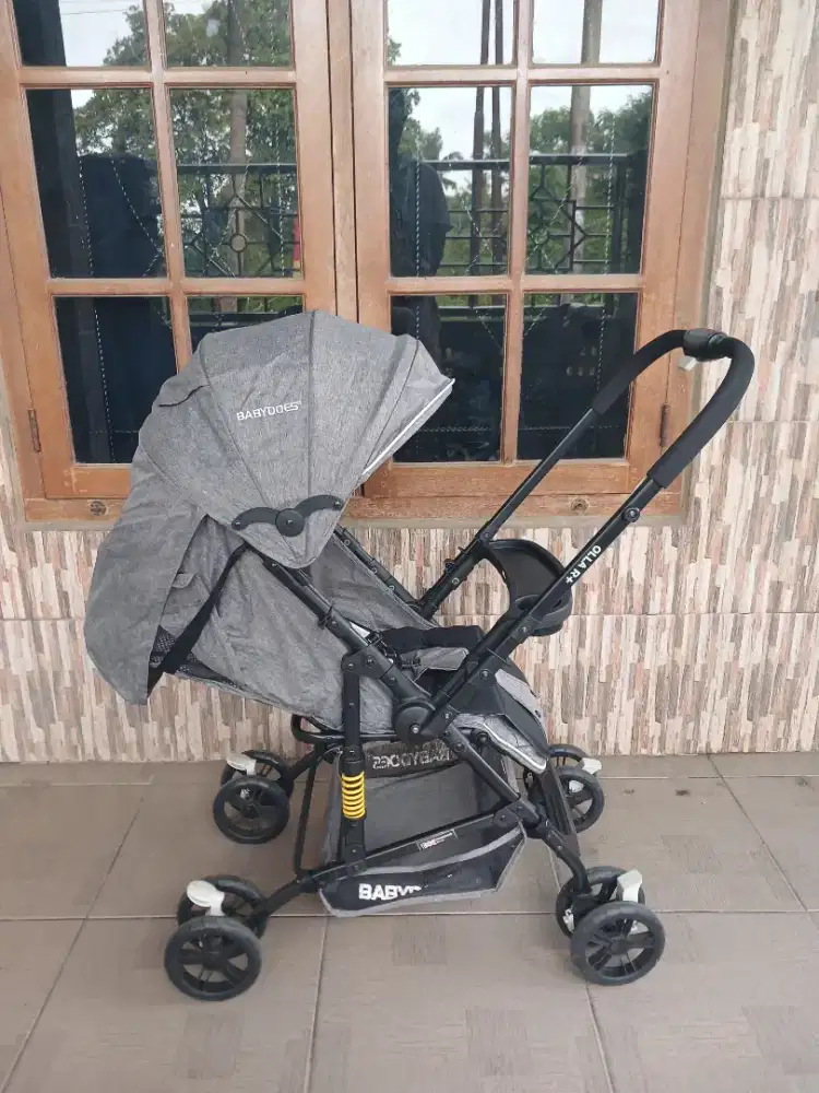 Stroller Baby Does Olla R+