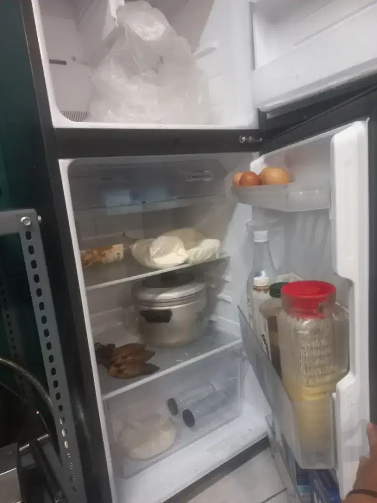 KULKAS SHARP 2 PINTU MODEL SJ-236 187 LITER