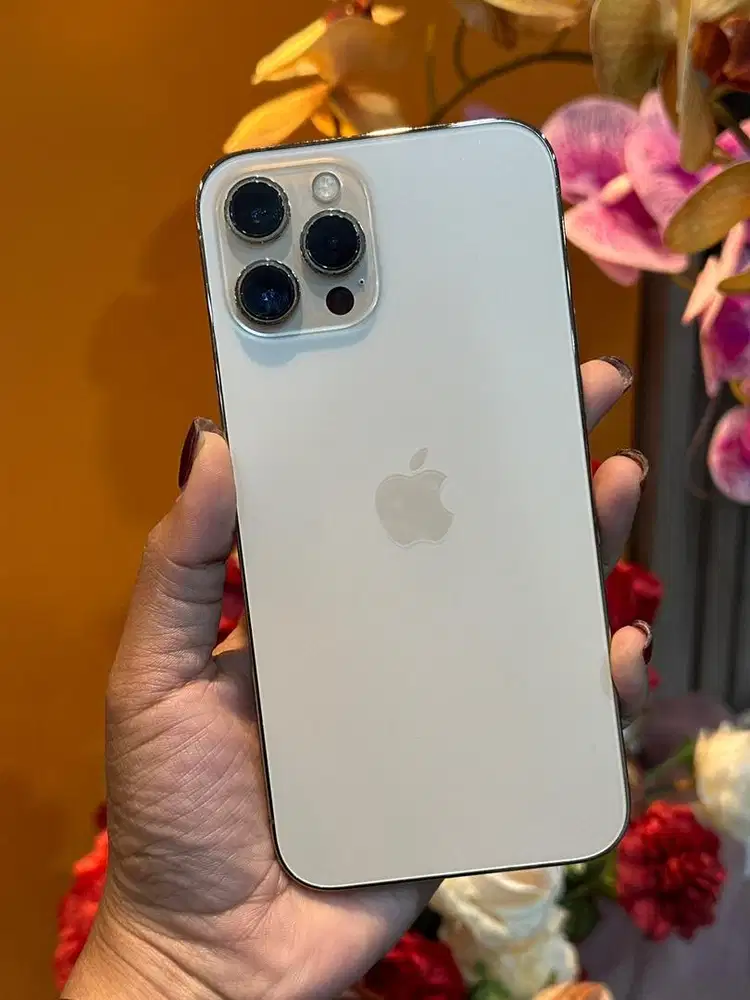 iphone 12 promax 256 beacukai