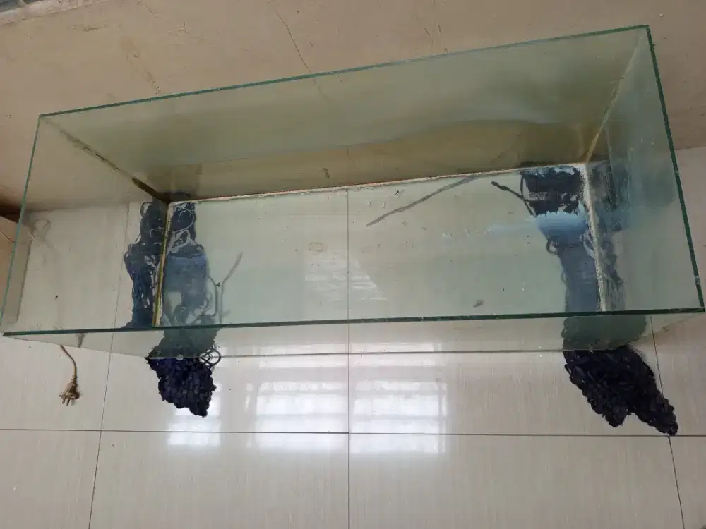 Aquarium ukuran sedang