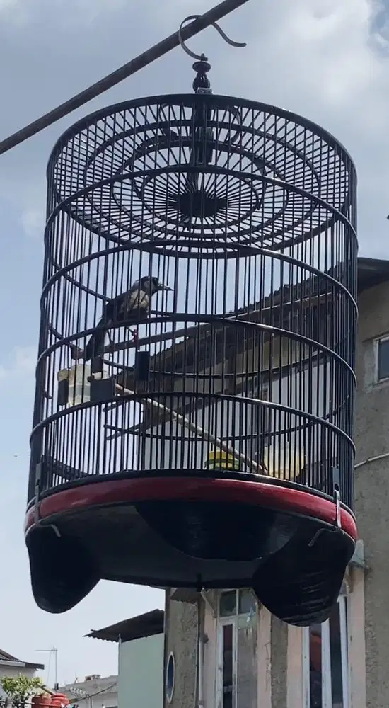 poksay hongkong kong