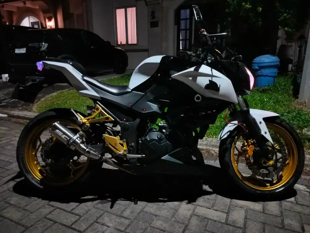 Ninja Z250 2013