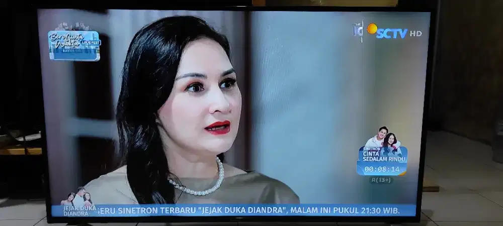 Sharp Digital 45 inch mulus