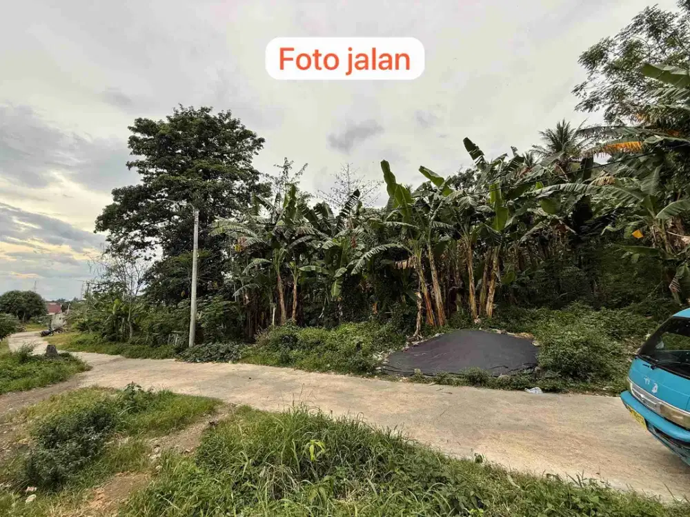 DIJUAL CEPAT TANAH CANTIK DAN MENARIK DAERAH BITUNG, HARGA SANGAT MURAH