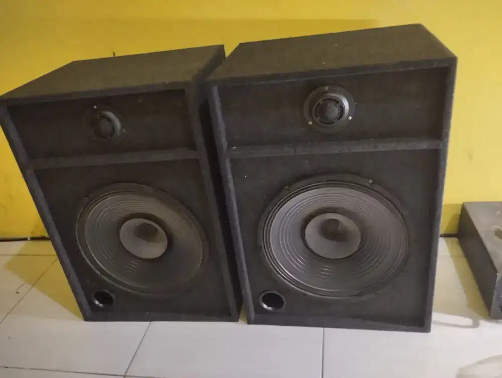 Pasif 12 inch sepasang