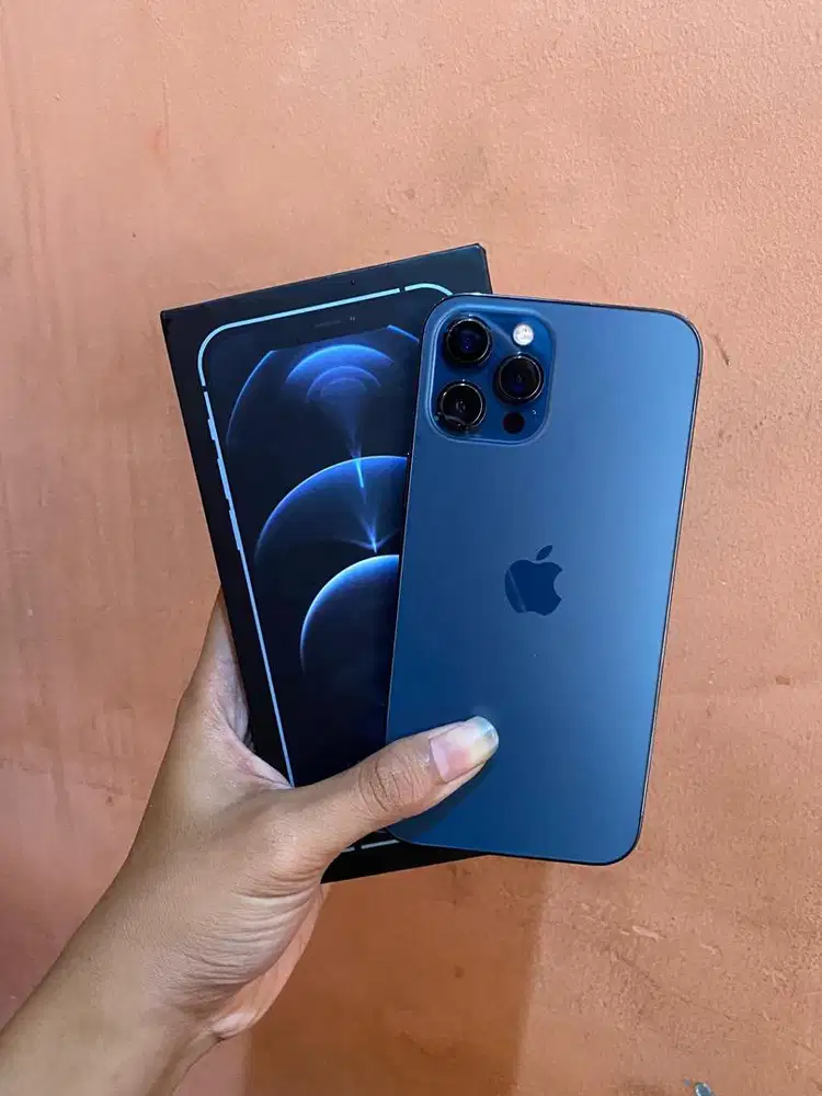 iPhone 12 Pro Max 256 Gb