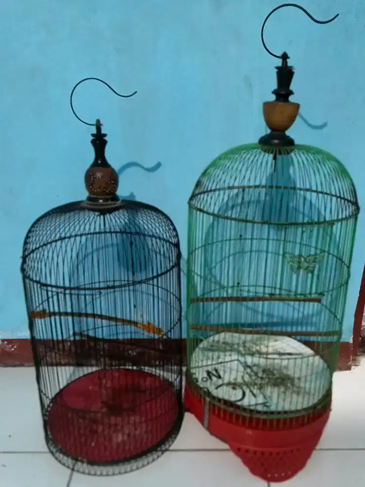 Jual kandang burung