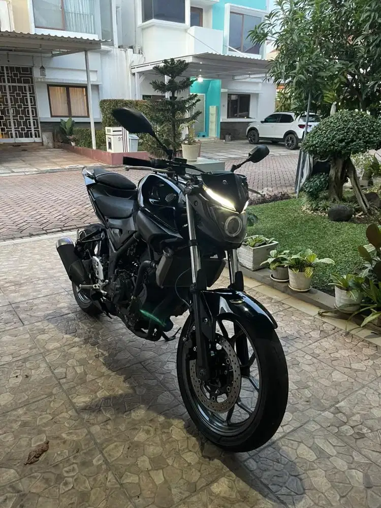 Jual Cepat MT25 2016