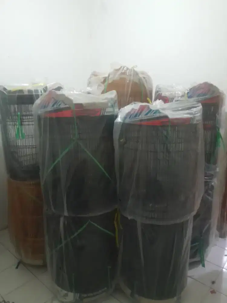 Kandang murai,Cuci gudang no 1.2.3