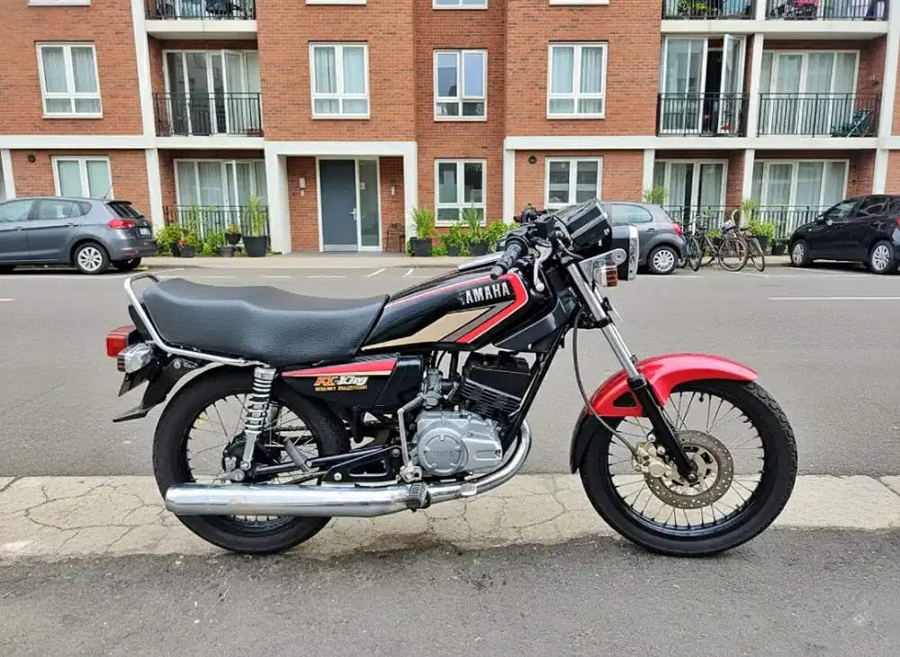 Rxs up king gnatengg