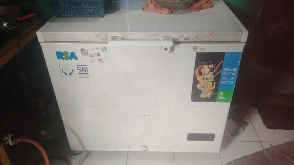 Freezer RSA 220 liter