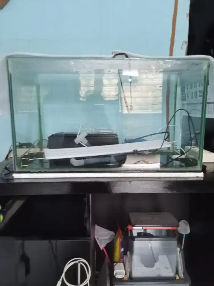 Akuarium untuk ikan hias