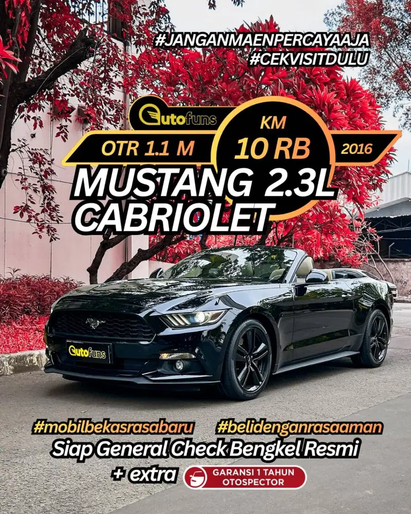 Km 10 Rb Ford Mustang Convertible 2017 Mustang Cabriolet 2016 Cabrio