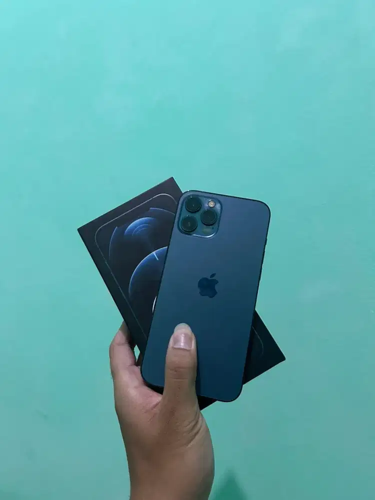 iphone 12 pro max 256gb