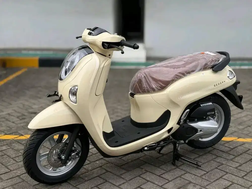 HONDA SCOOPY STYLISH
