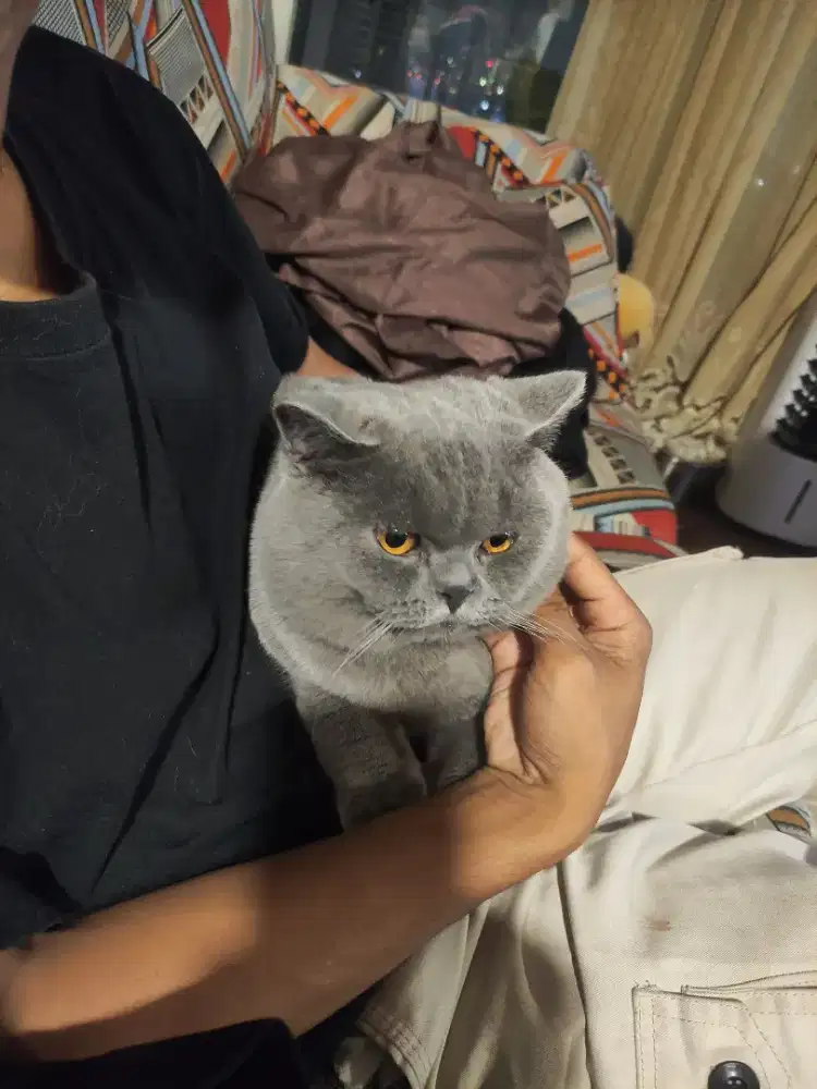 Cari loker modal KTP aja