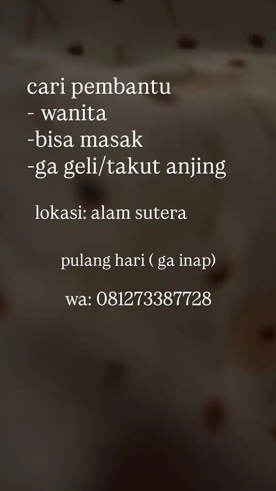 LOWONGAN PEMBANTU ART