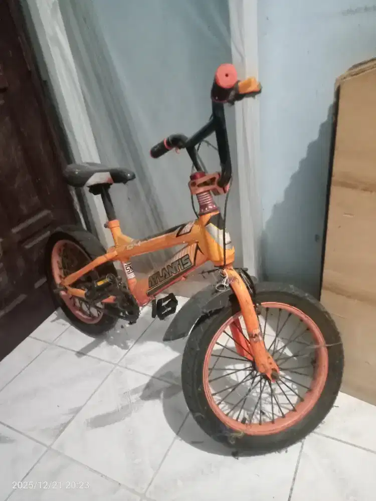 Sepeda Anak 6-10 Tahun