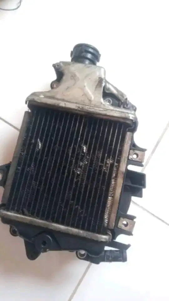 Radiator dan termos strad copotan vario