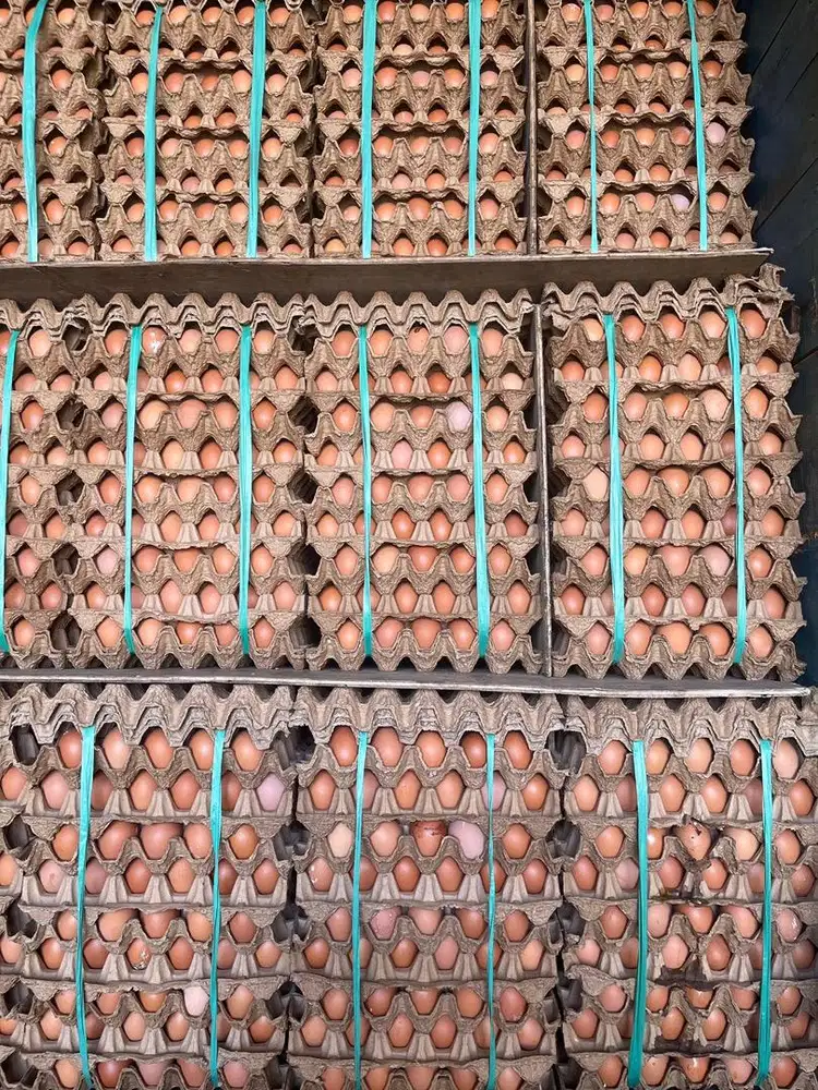 Di cari sopir yg berpengalaman minimal 5 thn