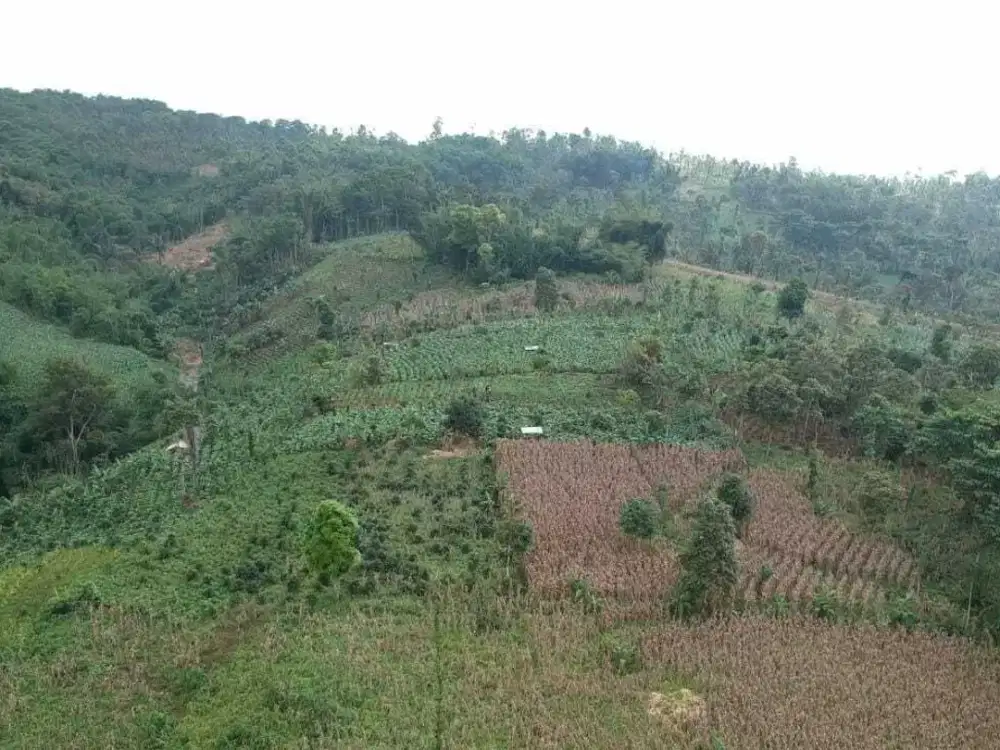 Dijual Tanah Lahan Pertanian Di Kadungora Garut