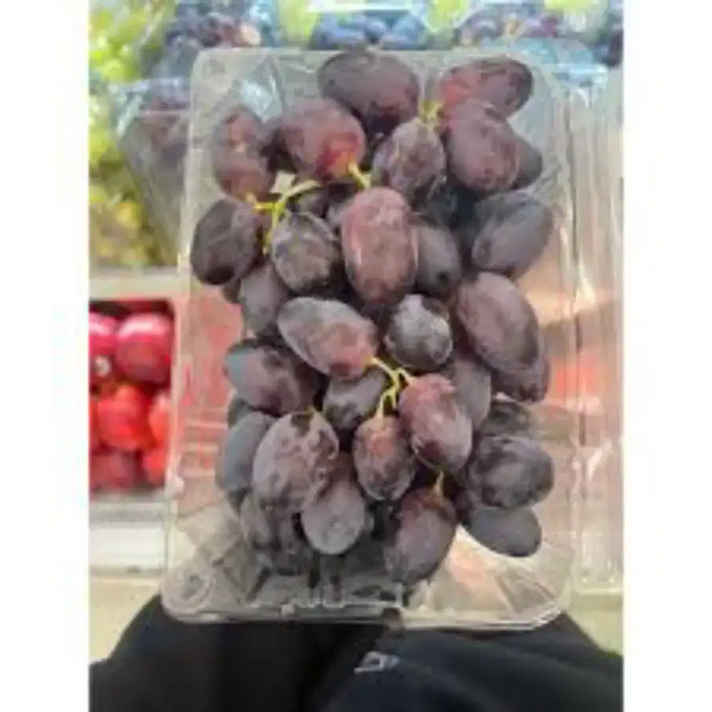 Anggur autumn australia 500g