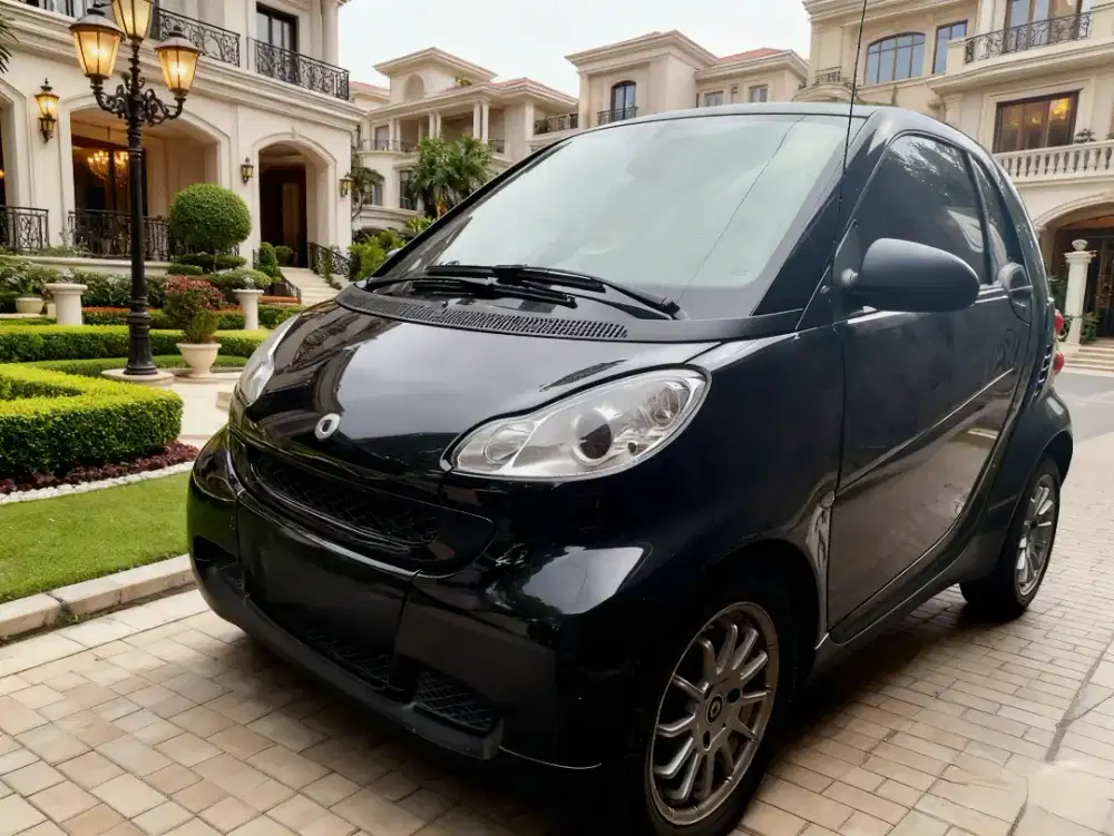 Smart fortwo'2010 Istimewa km50rb