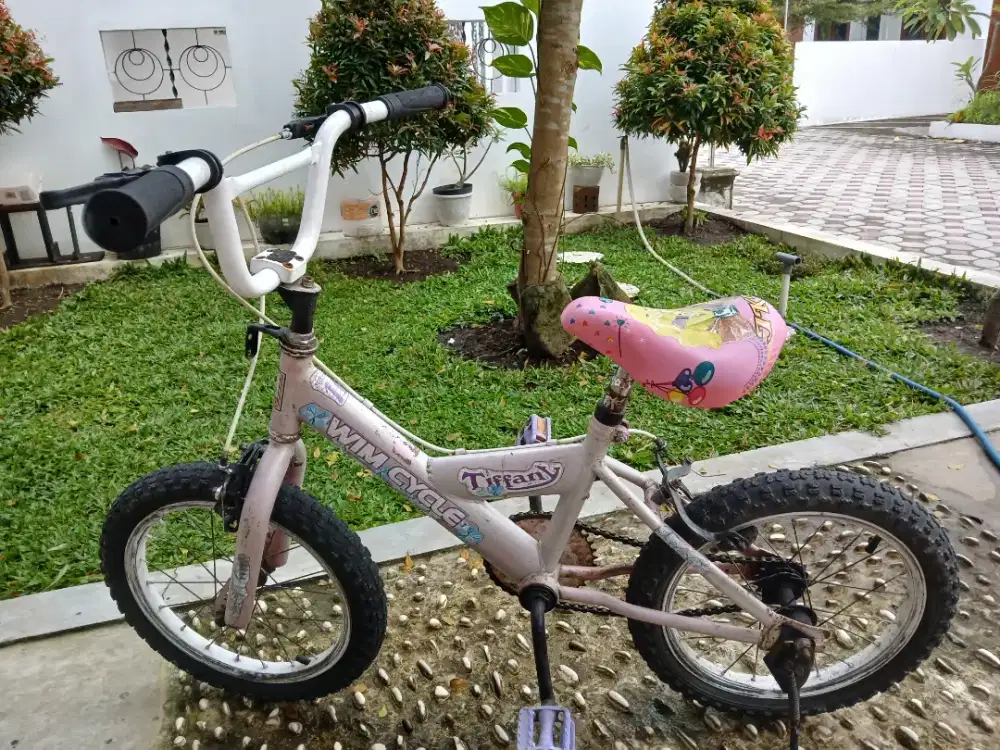 Jual sepeda anak wim cycle