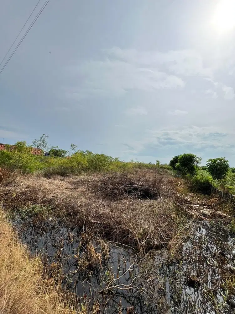 Jual Tanah SHM Pribadi