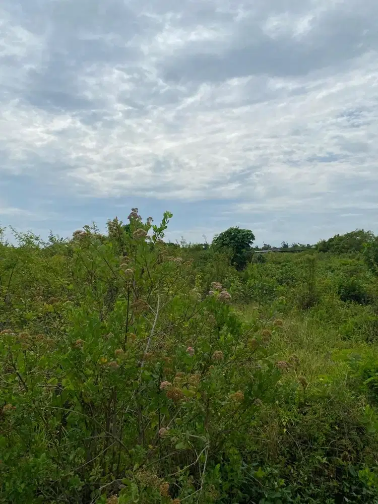 Jual Tanah SHM 620 m2