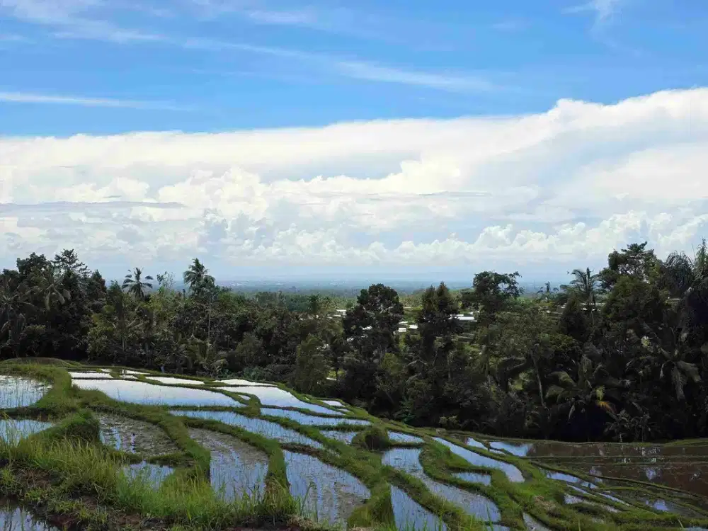 Dijual tanah view sawah dan gunung laut di bali
