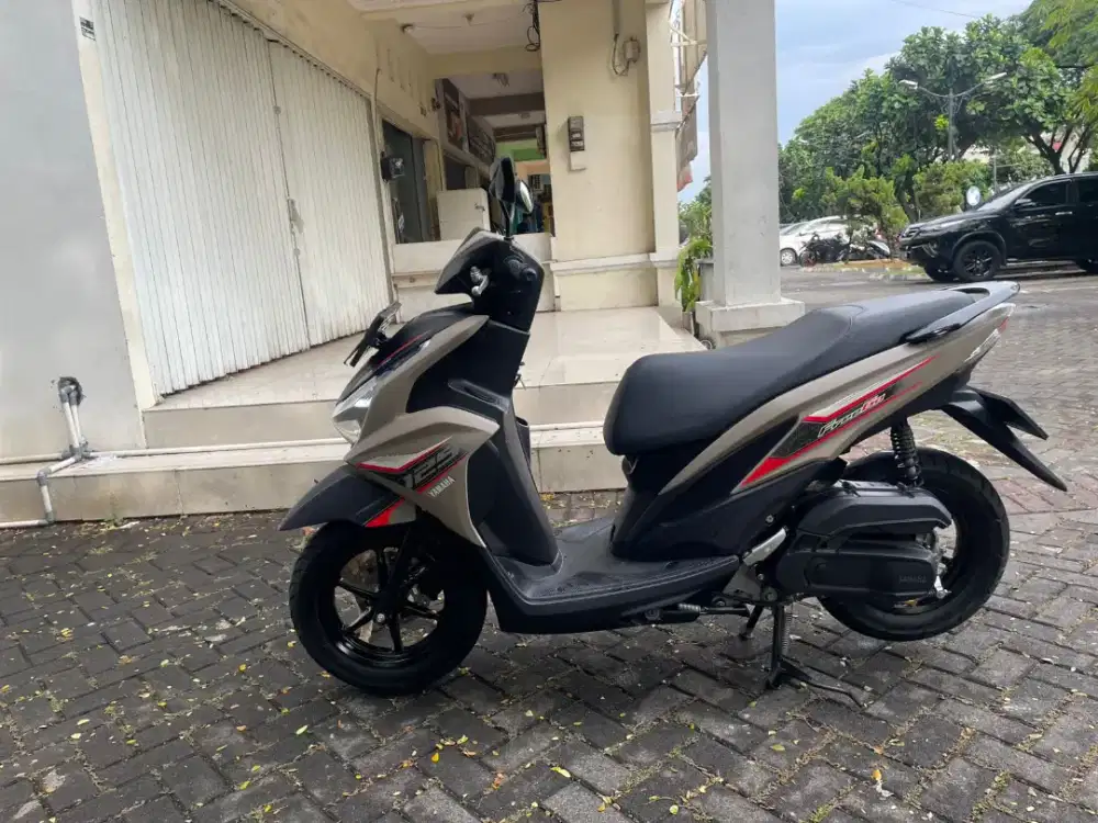 Freego 2025 Pajak Panjang