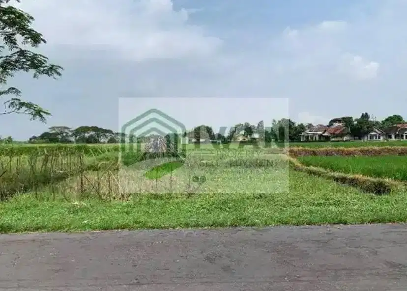 Tanah Dengan View Sawah Hadap Jalan Lebar Dilewati Air Jernih