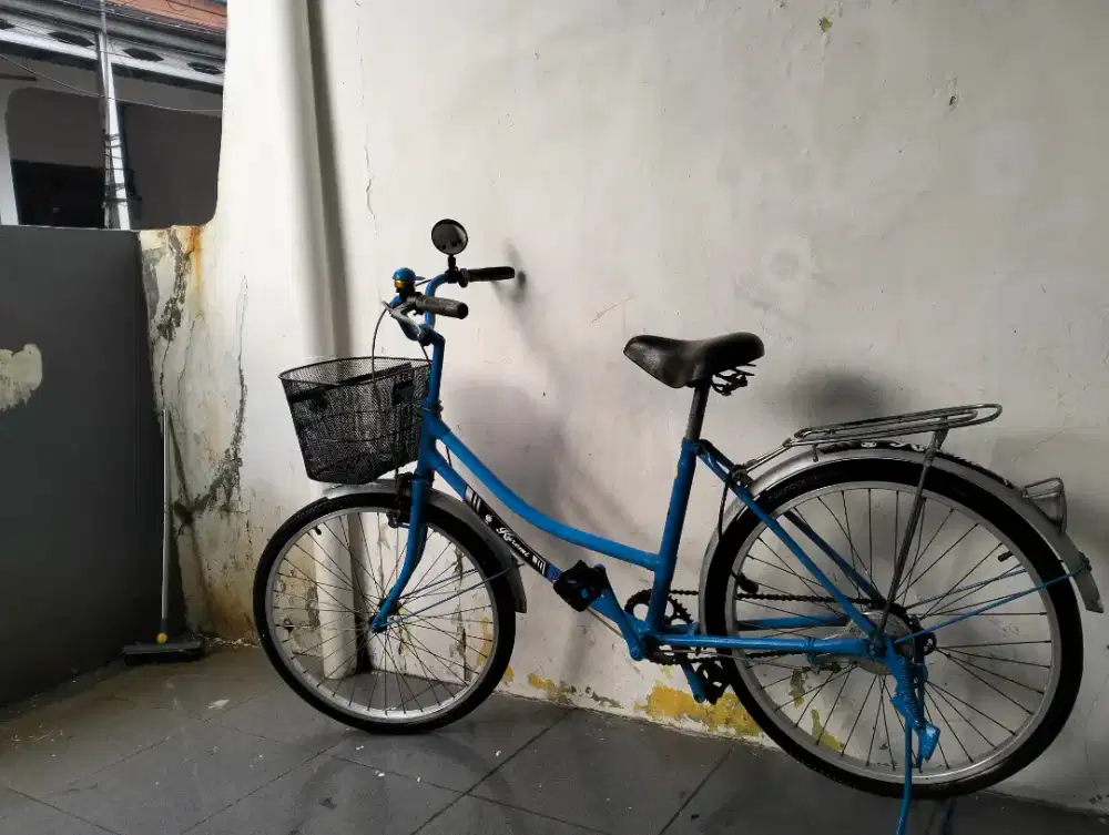 Sepeda dewasa wanita