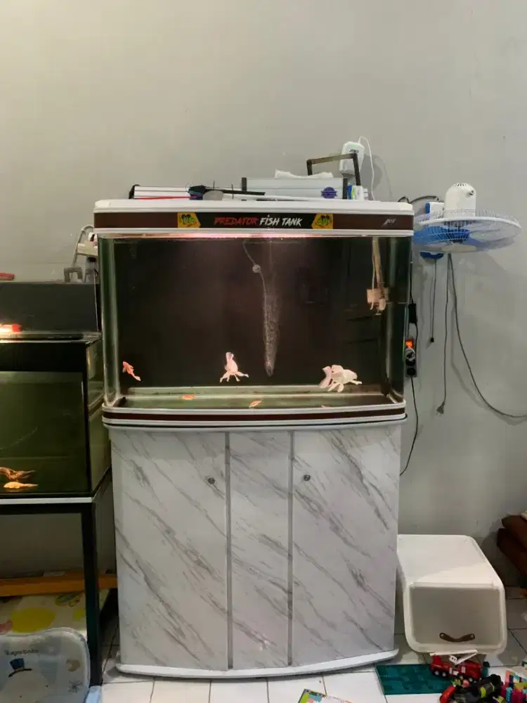 Akuarium plus cabinet boyu